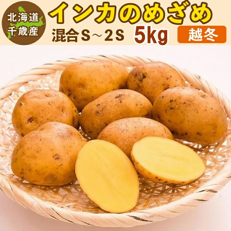 インカのめざめ 越冬 小玉 5kg（2S〜S）北海道 千歳産 熟成 じゃがいも ジャガイモ 送料無料 訳ありのサムネイル