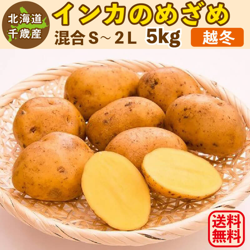 インカのめざめ 越冬 5kg（混合S～2L）北海道 千歳産 熟成 じゃがいも ジャガイモ 送料無料 訳あり