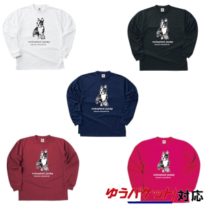 クラウディオ・パンディアーニ 迷彩アタック　ロングDryTEE VJ18513　メンズ　2018AW　バレーボール ゆうパケット（メール便）対応