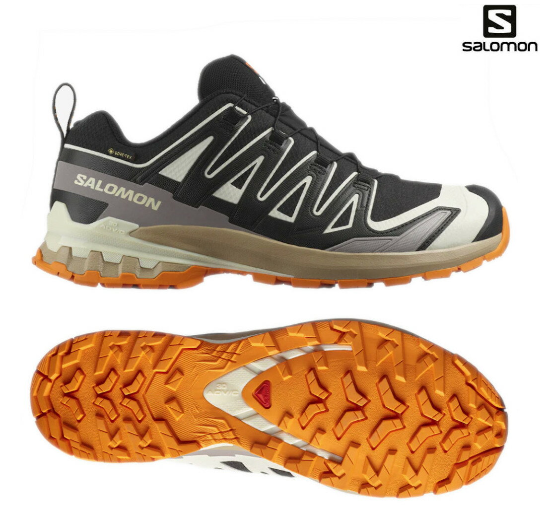サロモン エックスエープロ 3D V9 GTX XA PRO 3D V9 GTX L47881900 メンズ 2025AW 同梱不可 RFCL