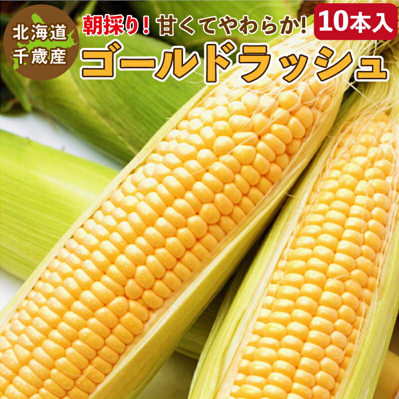 とうもろこし ゴールドラッシュ M～2L混合 10本入り 北海道 千歳産 黄色いトウモロコシ 送料無料 ご予約販売 2024年8月中旬～順次発送