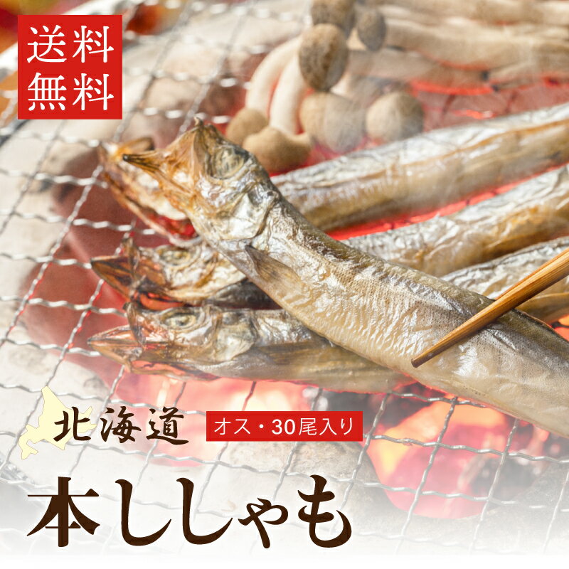 北海道産 本ししゃも オス 30尾入 シシャモ 柳葉魚 送料無料