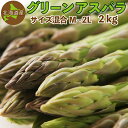 グリーンアスパラ 2kg(混合M~2Lサイズ)北海道産 ご予約販売 5月中旬~6月中旬発送予定 送料無料 アスパラガス クール便
