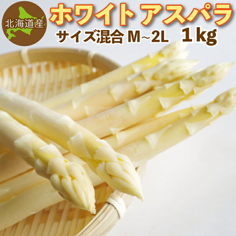 ホワイトアスパラ 1kg（混合M～2Lサイズ）北海道産 ご予約販売 5月中旬～6月中旬発送予定 送料無料 アスパラガス クール便