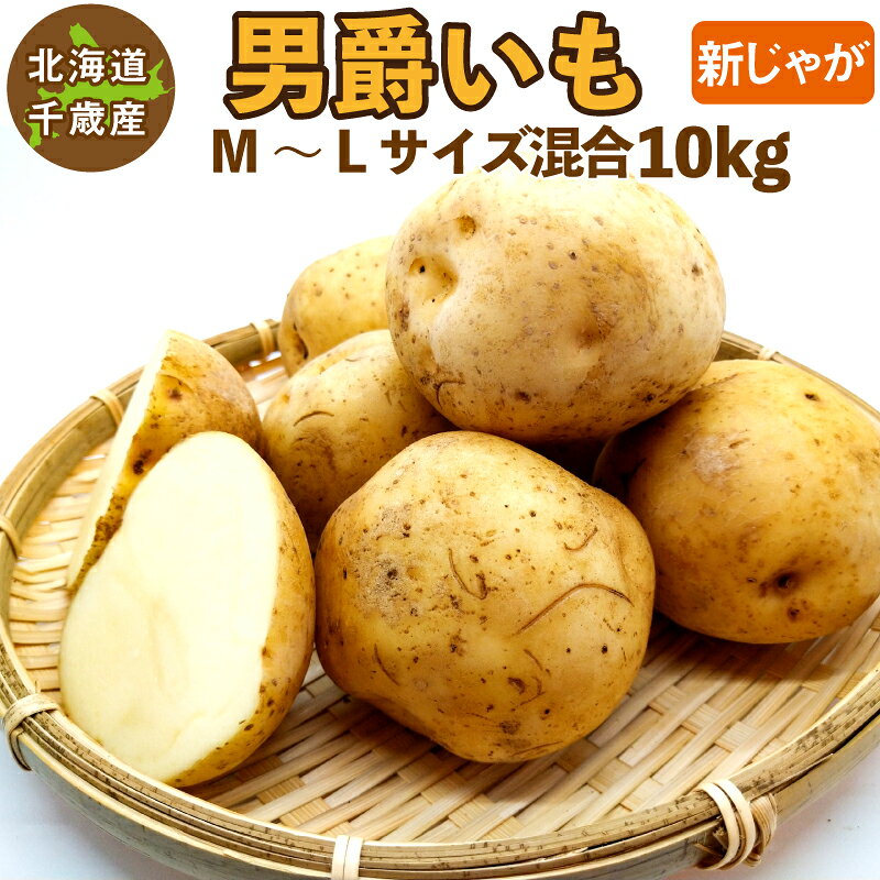 こちらの商品は諸般の事情により、沖縄県は配送除外区域となります。 ご注文を頂いた場合でも自動的にキャンセルとさせていただきます。 【訳あり】サイズ混合のためサイズに偏りがある場合があります ●商品名 男爵いも 10kg（M〜2L) ●生産地 北海道 ●サイズ M〜2L ●特徴 男爵いもは丸く、ややゴツゴツした形をしており、芽のくぼみが深く白っぽい果肉が特徴です。 やや粉質でホクホクした食感です。じゃがバター、ポテトサラダ、コロッケなどが向いています。 煮崩れしやすいので煮込み料理にお使いの際は注意が必要です。 通常じゃがいもは一定期間低温貯蔵して熟成させますが、新じゃがは熟成させないので水分が多く、皮が薄いのが特徴です。皮ごと調理してお召し上がりいただけます。 通常のじゃがいもよりビタミン類が豊富です。 ●保存方法 常温または冷暗所での保存をお勧めしますが、気温が高い場合は腐ってしまう可能性があるので冷蔵庫野菜室で保存して下さい。冷蔵庫で保存すると水分が失われ新じゃがの旨味が落ちてしまいますのでお早めにお召し上がりください。 ●注意事項 ご注文受付順に発送させていただきます。 お届け日の指定はできません。 ●返品について 基本的に返品・交換はお受けしておりませんが、商品に欠陥があった場合は商品到着後3日以内にご連絡下さい。欠陥があった場合はお召し上がりにならず、保管した状態でご連絡下さい。商品が存在しない場合ご対応できない場合がございますのでご注意願います。 他の容量はこちら 5kg