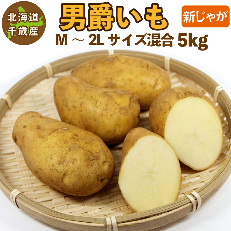 こちらの商品は諸般の事情により、沖縄県は配送除外区域となります。 ご注文を頂いた場合でも自動的にキャンセルとさせていただきます。【訳あり】サイズ混合のためサイズに偏りがある場合があります ●商品名 男爵いも 5kg（M〜2L) ●生産地 北海道 ●サイズ M〜2L ●特徴 男爵いもは丸く、ややゴツゴツした形をしており、芽のくぼみが深く白っぽい果肉が特徴です。 やや粉質でホクホクした食感です。じゃがバター、ポテトサラダ、コロッケなどが向いています。 煮崩れしやすいので煮込み料理にお使いの際は注意が必要です。 通常じゃがいもは一定期間低温貯蔵して熟成させますが、新じゃがは熟成させないので水分が多く、皮が薄いのが特徴です。皮ごと調理してお召し上がりいただけます。 通常のじゃがいもよりビタミン類が豊富です。 ●保存方法 常温または冷暗所での保存をお勧めしますが、気温が高い場合は腐ってしまう可能性があるので冷蔵庫野菜室で保存して下さい。冷蔵庫で保存すると水分が失われ新じゃがの旨味が落ちてしまいますのでお早めにお召し上がりください。 ●注意事項 ご注文受付順に発送させていただきます。 お届け日の指定はできません。 ●返品について 基本的に返品・交換はお受けしておりませんが、商品に欠陥があった場合は商品到着後3日以内にご連絡下さい。欠陥があった場合はお召し上がりにならず、保管した状態でご連絡下さい。商品が存在しない場合ご対応できない場合がございますのでご注意願います。 他の容量はこちら 10kg