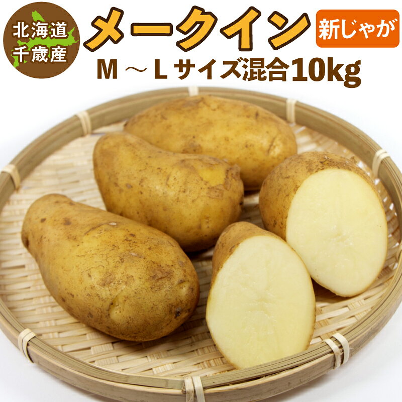 こちらの商品は諸般の事情により、沖縄県は配送除外区域となります。 ご注文を頂いた場合でも自動的にキャンセルとさせていただきます。 【訳あり】サイズ混合のためサイズに偏りがある場合があります ●商品名 メークイン 10kg（M〜2L) ●生産地 北海道 ●サイズ M〜2L ●特徴 メークインは楕円形で表面がつるつるしており、淡い黄色の果肉が特徴です。 粘質で煮崩れしにくいので、カレー、シチュー、スープなど煮込み料理に向いています。 通常じゃがいもは一定期間低温貯蔵して熟成させますが、新じゃがは熟成させないので水分が多く、皮が薄いのが特徴です。 皮ごと調理してお召し上がりいただけます。 通常のじゃがいもよりビタミン類が豊富です。 ●保存方法 常温または冷暗所での保存をお勧めしますが、気温が高い場合は腐ってしまう可能性があるので冷蔵庫野菜室で保存して下さい。冷蔵庫で保存すると水分が失われ新じゃがの旨味が落ちてしまいますのでお早めにお召し上がりください。 ●注意事項 ご注文受付順に発送させていただきます。 お届け日の指定はできません。 ●返品について 基本的に返品・交換はお受けしておりませんが、商品に欠陥があった場合は商品到着後3日以内にご連絡下さい。欠陥があった場合はお召し上がりにならず、保管した状態でご連絡下さい。商品が存在しない場合ご対応できない場合がございますのでご注意願います。 他の容量はこちら 5kg