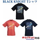 ブラックナイト BK Tシャツ T-12818 2018SS ゆうパケット(メール便)対応