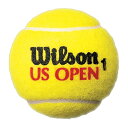 ウイルソン US OPEN Jumbo Ball ジャンボ・ボール wrx2096 テニスボール ラッキーシール対応