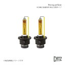 CATZ キャズ HID純正装着車用 純正交換タイプ HIDバルブ RISING YELLOW CR-V RD4/RD5 純正:HID(D2R) 品番:RS1(2)