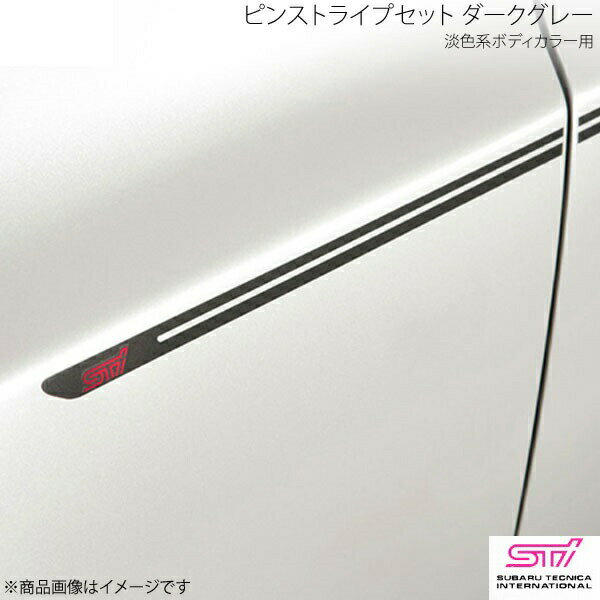 STI エスティーアイ ピンストライプセット ダークグレー 淡色系ボディカラー用 レガシィB4 BM アプライド:A/B/C/D/E ST91042EZ010
