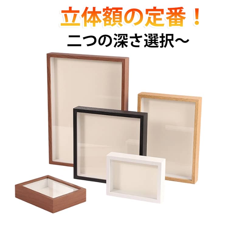 楽天市場】ドライフラワー 額（インテリア・寝具・収納）の通販