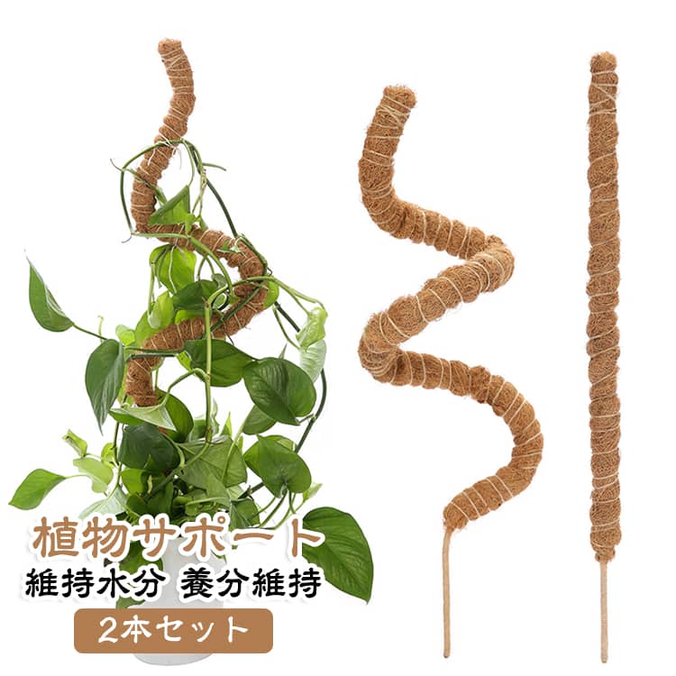 モンステラ ポトス 曲げられる おしゃれ トマト 養分維持 ヘゴ棒 ココスティック ガーデニング 植物サポート スティック 維持水分 セローム 植物支柱 植物支え 観葉植物 2本セット 農業用 園芸用品 使いやすい 30cm 50cm