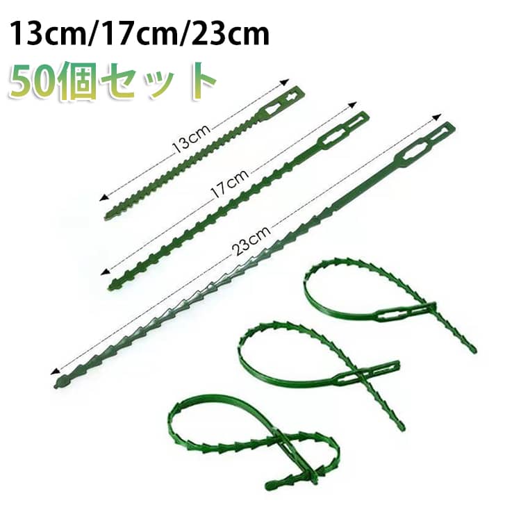 家庭用の多機能結束バンドで、さまざまなシーンで活躍します。植物の誘引や成長サポート、書類整理、ケーブル整理など幅広く使えます。簡単に取り外しができ、繰り返し使用可能で経済的です。魚骨構造デザインにより、しっかり固定されて緩みにくい仕様です。 サイズ 50個セット サイズについての説明 【サイズ】50個セット/13cm、17cm、23cm 素材 【素材】プラスチック 色 13cm 17cm 23cm 備考 ●サイズ詳細等の測り方はスタッフ間で統一、徹底はしておりますが、実寸は商品によって若干の誤差(1cm～3cm )がある場合がございますので、予めご了承ください。 ●製造ロットにより、細部形状の違いや、同色でも色味に多少の誤差が生じます。 ●パッケージは改良のため予告なく仕様を変更する場合があります。 ▼商品の色は、撮影時の光や、お客様のモニターの色具合などにより、実際の商品と異なる場合がございます。あらかじめ、ご了承ください。 ▼生地の特性上、やや匂いが強く感じられるものもございます。数日のご使用や陰干しなどで気になる匂いはほとんど感じられなくなります。 ▼同じ商品でも生産時期により形やサイズ、カラーに多少の誤差が生じる場合もございます。 ▼他店舗でも在庫を共有して販売をしている為、受注後欠品となる場合もございます。予め、ご了承お願い申し上げます。 ▼出荷前に全て検品を行っておりますが、万が一商品に不具合があった場合は、お問い合わせフォームまたはメールよりご連絡頂けます様お願い申し上げます。速やかに対応致しますのでご安心ください。