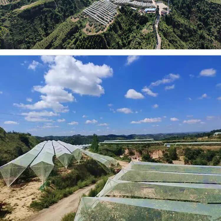 鳥除け網 防虫ネット 4*10m 防鳥ネット 防鳥網 農業用ネット 果樹用 保護ネット 果...