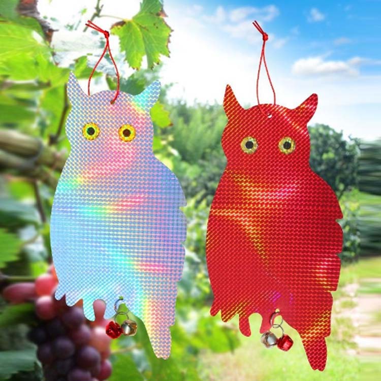 Ļ�褱 Ļ�褱 ���դ� ���饹�褱 ���餹���� ȷ�褱 ȿ�� Ļ�к����å� �ե�������ǥ� ���饹�к� ���饹���餺 ��Ļ Ļ���� �ϥȤ褱 �����֤��� Ȫ �٥��� �����ڱ� ��־�