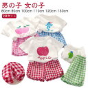 子供服 ベビー服 女の子 上下セット Tシャツ 果物 ルームウェア 薄手 半袖 ショートパンツ 男の子 短パン チェック ギンガム 2点セット フルーツ リンゴ ピーチ 葡萄 パイナップル レモン ベビー服 夏 保育園 幼稚園 部屋着 綿 コットン