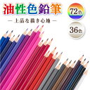 色鉛筆 72色 油性 塗り絵 ぬりえ 子供 プレゼント 小学生 中学生 お絵かき 大人の塗り絵 画材セット 絵画 イラスト スケッチ 金 銀 入り おとな お絵...