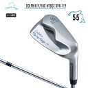 キャスコ(Kasco)ドルフィン フライングウェッジ DOLPHIN FLYING WEDGE DFW-119(55°)オリジナルスチールシャフト【あす楽】【日本正規品】【2021モデル】