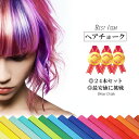 ■限定価格■ 【メール便送料無料】 ※残り僅か TVで紹介されました! 24色 ヘアーチョーク ヘア ...