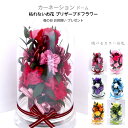 母の日 Mother's Day 誕生日 御見舞 記念日 還暦祝い 母の日ギフト Red Carnation 赤いカーネーション 選べる6カラー 枯れないお花 ...