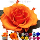 母の日プレゼント 誕生日 記念日 御祝 お見舞い 昇進祝い オレンジの薔薇 橙大輪1輪ローズ 彼女へのプレゼント フラワーギフト Orange Rose 枯れないお花 プリザーブドフラワー 11色の薔薇から選べる大きな1輪挿し(4)