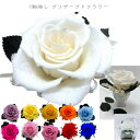 母の日プレゼント 白寿祝い 百寿祝い 白い薔薇 大きな桃色1輪ローズ 99歳 100歳 誕生日 記念日 御祝 お見舞い 敬老の日ギフト フラワーギフト Whit...