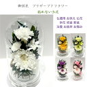 輪菊白 ホワイトドーム仏花 プリザーブドフラワー 仏花 お供え お悔やみ 供花 仏壇 枯れない 花 喪中見舞い 一周忌 四十九日 お悔やみ 仏壇 仏花 お盆 新盆 初盆 お彼岸 正月 法事 ペット