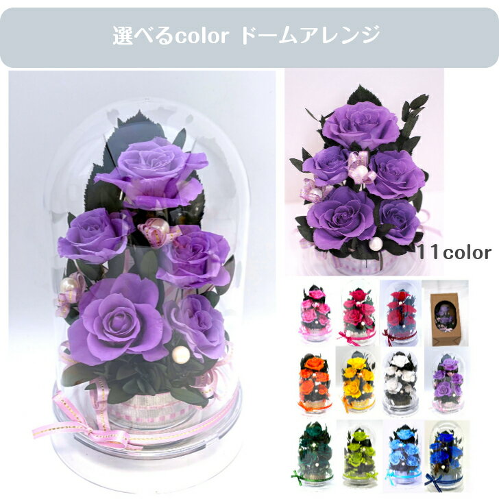 Rakuten - バラ 薔薇 誕生日 長寿祝い 古希祝い 70歳 喜寿祝い 77歳 卒寿祝い 90歳 記念日 敬老の日 御祝 退職祝い purple 紫の薔薇 ドームケース入り
