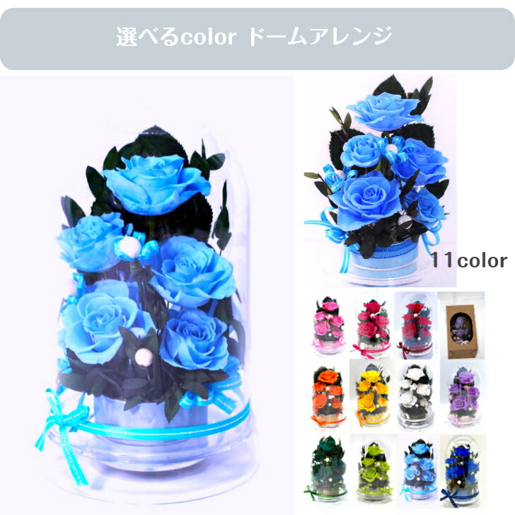 Rakuten - バラ 薔薇 誕生日 記念日 昇進祝い 独立祝い 開店祝い 新築祝いフラワーギフト 夢叶う 奇跡 青い薔薇 blue ブルードームケース入り