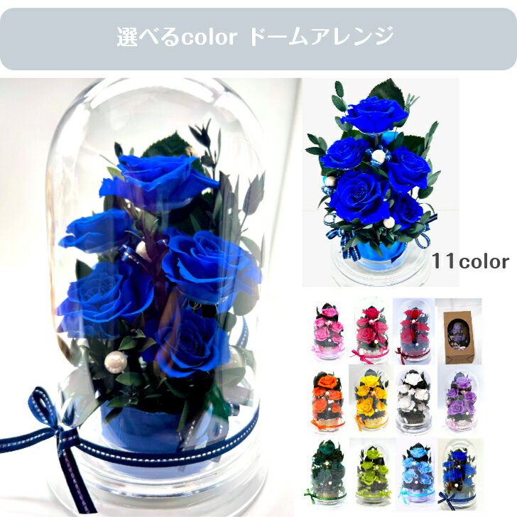 Rakuten - バラ 薔薇 彼へのプレゼント 誕生日 記念日 昇進祝い 独立祝い 開業祝い フラワーギフト 御祝 夢叶う 奇跡 青い薔薇 Royal blue 紺 ネイビー ロイヤルブルー ドーム ケース入り
