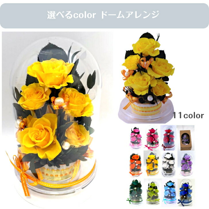 Rakuten - バラ 薔薇 誕生日 御見舞 開店祝い 送別 長寿祝い 米寿祝い 傘寿祝い 母の日 花ギフト yellow 黄色の薔薇 ドームケース入り