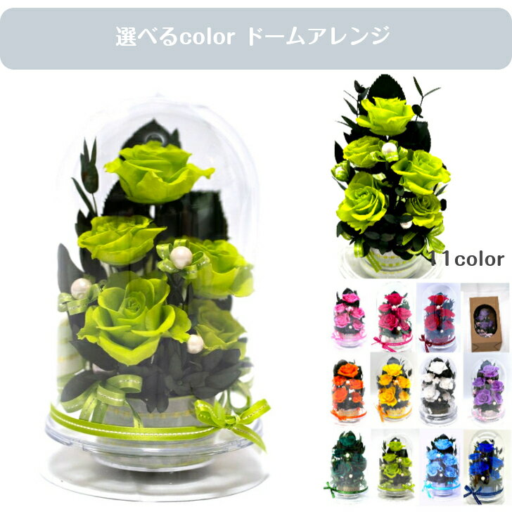 Rakuten - バラ 薔薇 誕生日 記念日 緑寿祝い 66歳祝い 昇進祝い 独立祝い 開店祝い 新築祝い フラワーギフト 緑の薔薇 ライトグリー ンlight green グリーンドームケース入り