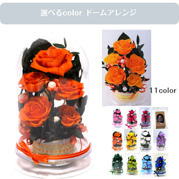 Rakuten - バラ 薔薇 誕生日 贈り物 彼女へのプレゼント 母の日 記念日 フラワーギフト 御祝 退職祝い 送別 プリザーブドフラワー オレンジの薔薇 橙 orange オレンジドームケース入り