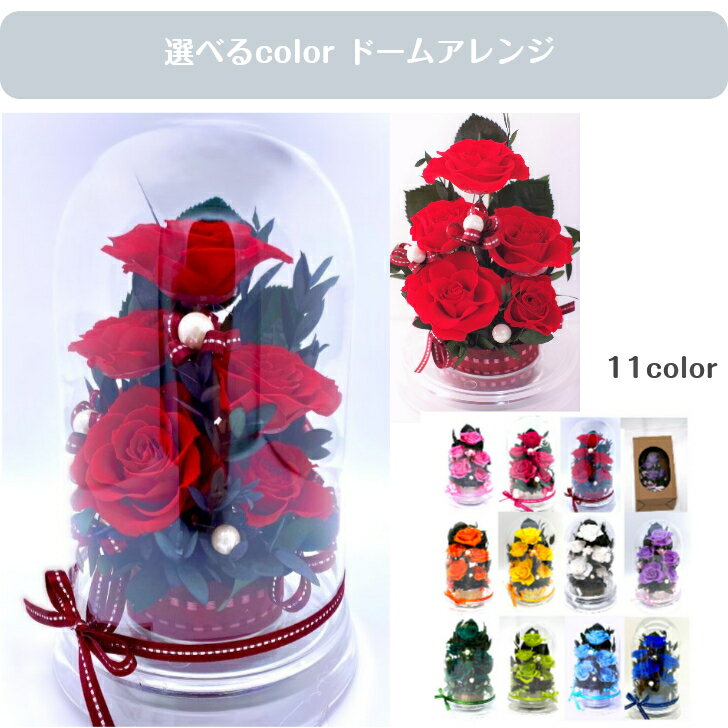 Rakuten - バラ 薔薇 誕生日 長寿祝い 還暦祝い 60歳 母の日 記念日 告白フラワーギフト 御祝 退職祝い 花プレゼント 赤い薔薇 red ドームケース入り