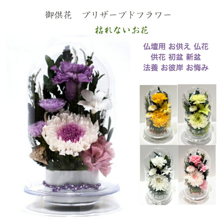 Rakuten - 輪菊紫ホワイトパープルドーム仏花 プリザーブドフラワー 仏花 お供え お悔やみ 供花 仏壇 枯れない 花 喪中見舞い 一周忌 四十九日 お悔やみ 仏壇 仏花 お盆 新盆 初盆 お彼岸 正月 法事 ペット