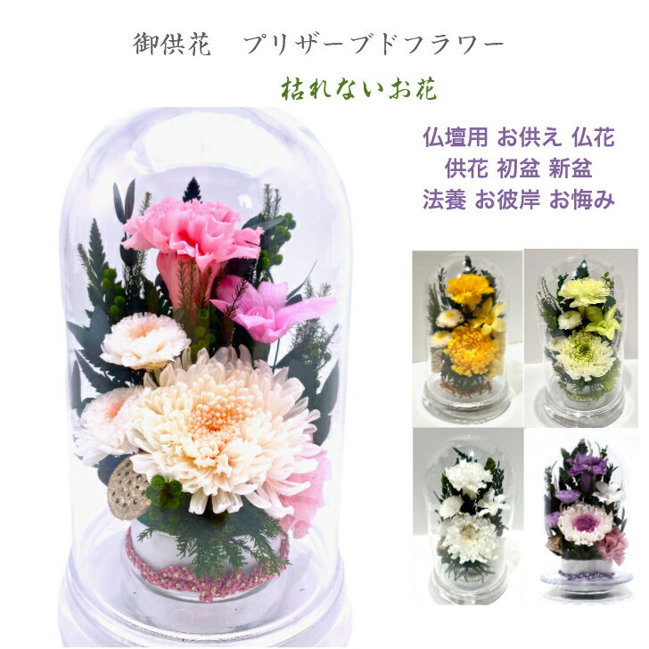 Rakuten - 輪菊桃 ホワイトピンクドーム仏花 プリザーブドフラワー 仏花 お供え お悔やみ 供花 仏壇 枯れない 花 喪中見舞い 一周忌 四十九日 お悔やみ 仏壇 仏花 お盆 新盆 初盆 お彼岸 正月 法事 ペット