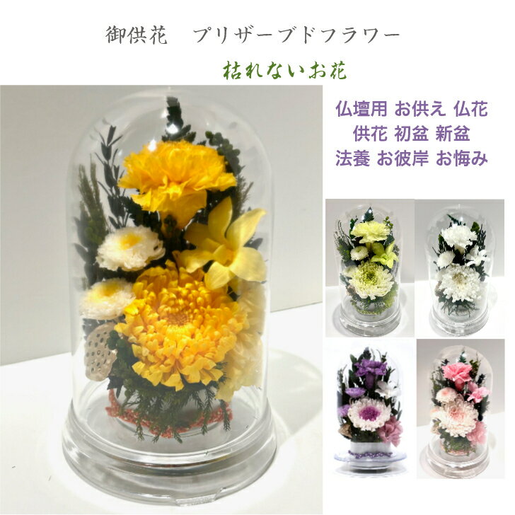 Rakuten - 輪菊黄 イエロードーム仏花 プリザーブドフラワー 仏花 お供え お悔やみ 供花 仏壇 枯れない 花 喪中見舞い 一周忌 四十九日 お悔やみ 仏壇 仏花 お盆 新盆 初盆 お彼岸 正月 法事 ペット