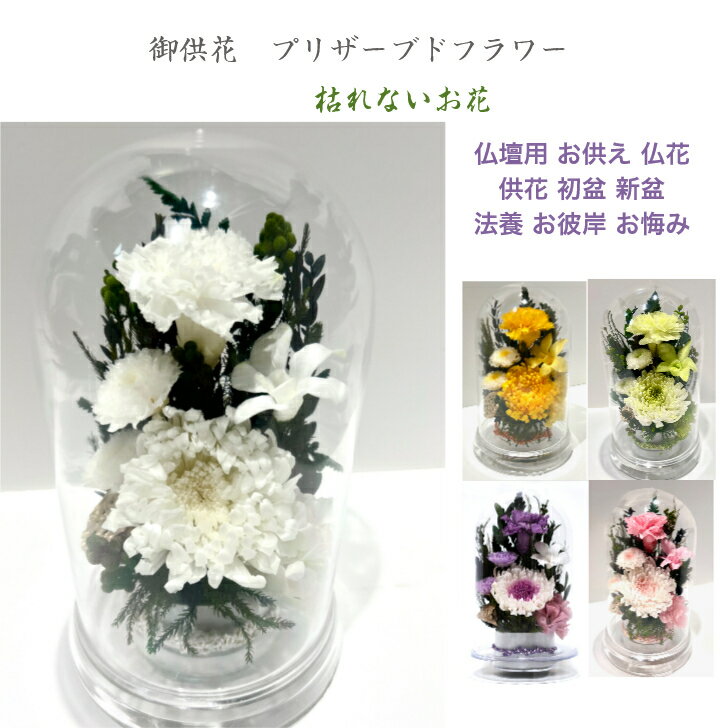 Rakuten - 輪菊白 ホワイトドーム仏花 プリザーブドフラワー 仏花 お供え お悔やみ 供花 仏壇 枯れない 花 喪中見舞い 一周忌 四十九日 お悔やみ 仏壇 仏花 お盆 新盆 初盆 お彼岸 法事 ペット 選べるカラー＆土台