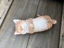 ねこの置物 ガーデニング ガーデンオーナメント 置物 オブジェ インテリア かわいい 雑貨 樹脂 猫 ネコ 動物 ディスプレイ 【 ゴロ猫(茶) 】