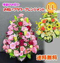【日時指定可】季節のお花 おまかせ お祝い アレンジメント LLサイズ 生花 立札 メッセージカード 即日発送 画像配信 日時指定 送料無料 母の日 誕生日 開...