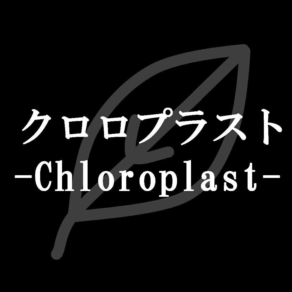 クロロプラスト　楽天市場店