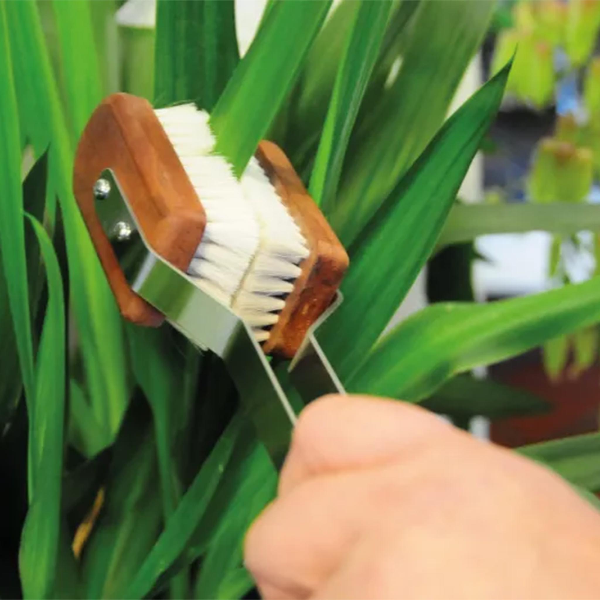 ��ǥå��� Redecker ���տ�ʪ�� �꡼�ե����֥饷 �ɥ����� ���ʼ� �ϥ�ɥᥤ�� ŷ���Ǻ� ����ƻ�� ���� ��Ż� �����ƥʥ֥� �ʥ����� ���軨�� ���ݽ����� ������ �������� ���տ�ʪ �֥饷 �Ϥ��� �ϥ��� �ۤ����� ŷ���� �ʥ���