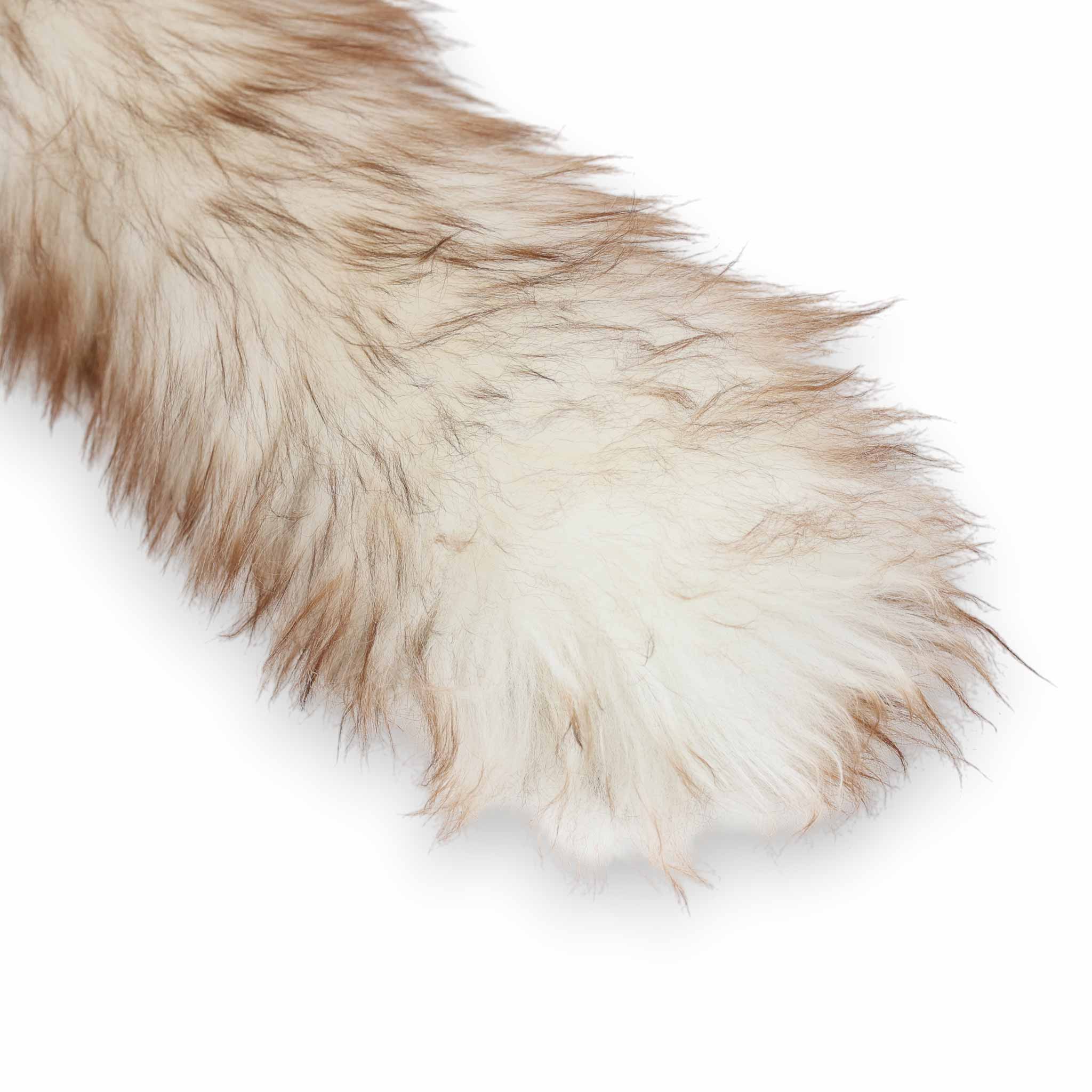 ��ǥå��� Redecker ŷ����०����Υۥ�����Ϥ��� ���ʼ� �ϥ�ɥᥤ�� ŷ���Ǻ� ����ƻ�� ���� ��Ż� �����ƥʥ֥� �ʥ����� ���軨�� ���ݽ����� ������ �������� ����ƥꥢ Լ��� �֥饷 �������� �ϥ��� �ۤ����� ŷ����