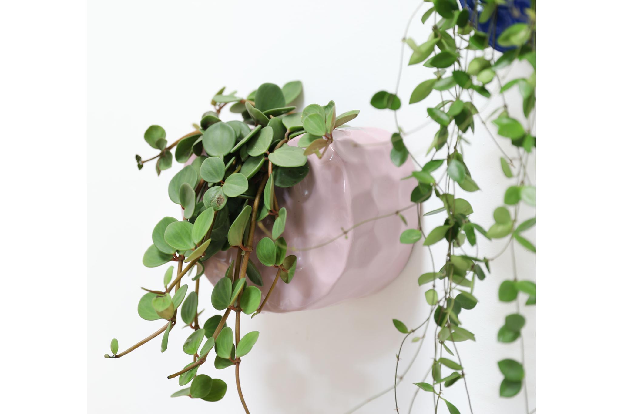 【在庫限り】【再入荷なし】&Klevering アンドクレベリン フラワーポット CLAY ラ...