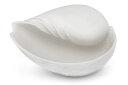 アウトレット 【訳ありアウトレット品】美しいシェルの置物/オブジェ CONCH Lサイズ 【北欧雑貨 インテリア シンプル モダン モノクロ モノトーン クラシ...