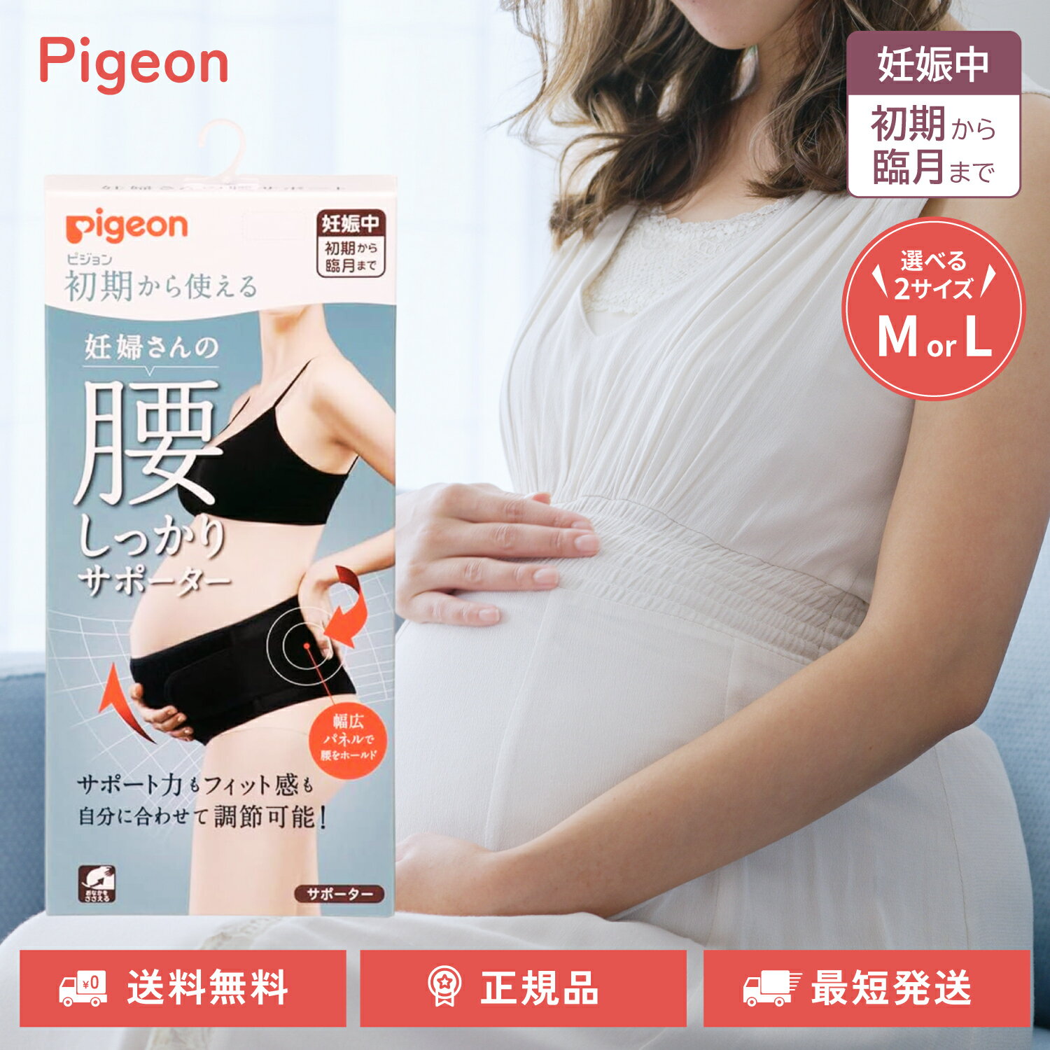 ԥ Ȥ ǥؤιäꥵݡ ʢ ǥ ɥ ֥å ޥ˥ƥ ٤ M L pigeon