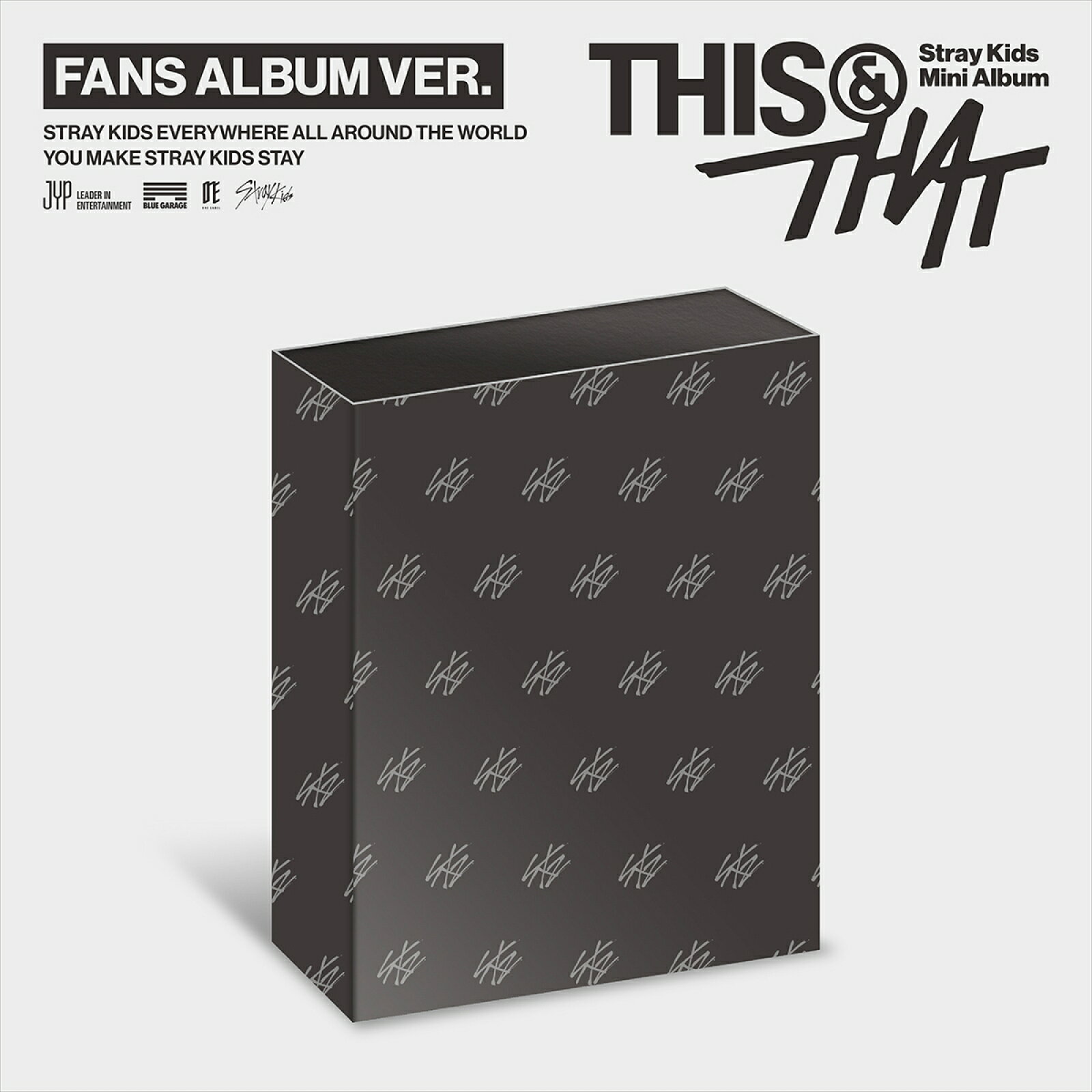 Stray Kids THIS & THAT / Mini Album (FANS ALBUM VER.)　SKZ