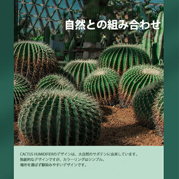【送料無料】ワイヤレス卓上LED加湿器 アロマディフューザー サボテン 小型加湿器 グリーン 静音 空焚き防止 容量330ML 韓国 かわいい おしゃれ