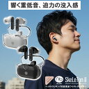 P10倍7/23まで! (nb)Audio SkeLeTon II SKLT2 エヌビーオーディオ スケルトンツー ワイヤレスイヤホン bluetooth ヘッドトラッキング対応 ノイズキャンセリング Android 高音質